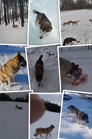 07e6a9fc-113b-44aa-a853-17345e6c272d-1_all_21737